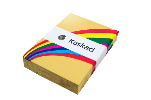 Papier kolorowy KASKAD Chamois 5054 160g A4