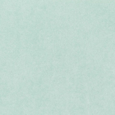 GELTEX 115G/M2 Pistacho (1399) Liso (MOLET LS), 500x700mm