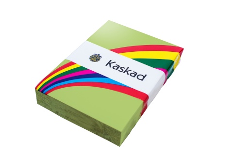 Papier kolorowy KASKAD Lime Green 66 80g A4