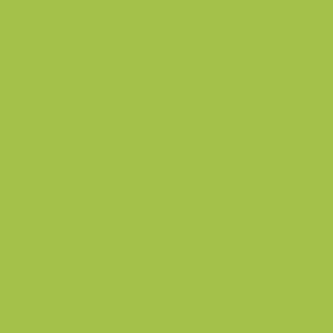 Papier kolorowy KASKAD Lime Green 66 80g A4