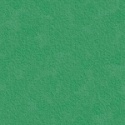 Papier kolorowy KASKAD Mallard Green 63 80g A4
