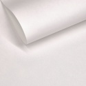 GELTEX 115G/M2 KOLOR: BLANCO NATURAL 1169, Liso (MOLET LS), 500x700mm