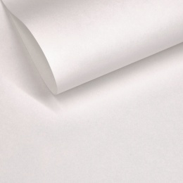 GELTEX 115G/M2 KOLOR: BLANCO NATURAL 1169, Liso (MOLET LS), 500x700mm