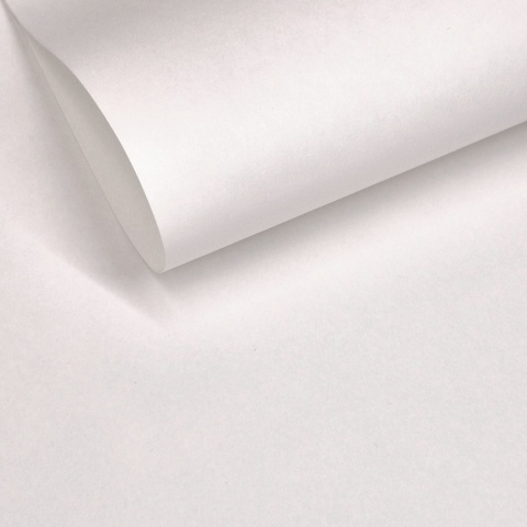 GELTEX 115G/M2 KOLOR: BLANCO NATURAL 1169, Liso (MOLET LS), 500x700mm