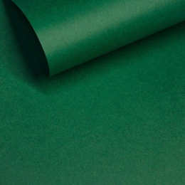 GELTEX 115G/M2 Menta (1269) Lico (MOLET LS), 500x700mm