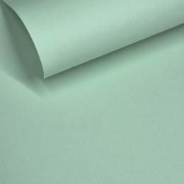GELTEX 115G/M2 Pistacho (1399) Liso (MOLET LS), 500x700mm