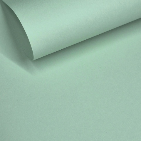 GELTEX 115G/M2 Pistacho (1399) Liso (MOLET LS), 500x700mm