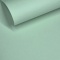 GELTEX 115G/M2 Pistacho (1399) Liso (MOLET LS), 500x700mm