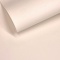 GELTEX 115G/M2 Vanilla (1285) Liso (MOLET LS), 500x700mm