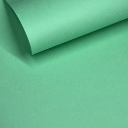 GELTEX 115G/M2 Verda Pastel (1376) Liso (MOLET LS), 500x700mm