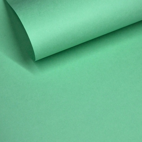 GELTEX 115G/M2 Verda Pastel (1376) Liso (MOLET LS), 500x700mm