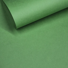 GELTEX 115G/M2 Verde Kelly (1360) Liso (MOLET LS), 500x700mm