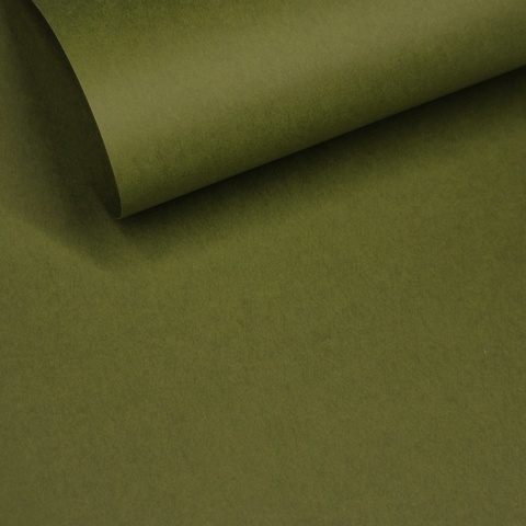 GELTEX 115G/M2 Verde Oliva (1160) Liso (MOLET LS), 500x700mm