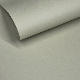 Geltex 115[g/m2] Tila (121) Liso (MOLET LS) 700x1000 mm FSC Mix