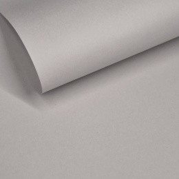 Geltex 130[g/m2] Gris Perla (122) Liso (MOLET LS) 700x1000 mm FSC Mix