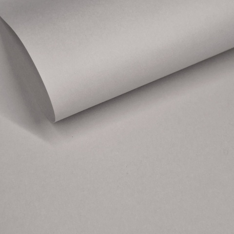 Geltex 130[g/m2] Gris Perla (122) Liso (MOLET LS) 700x1000 mm FSC Mix